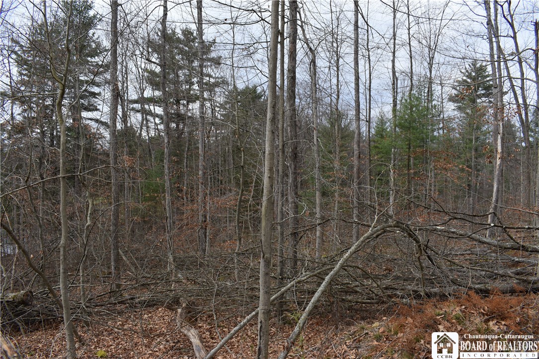 0 Morgan Hollow Road Olean, NY 14760 - Photo 8 of 43