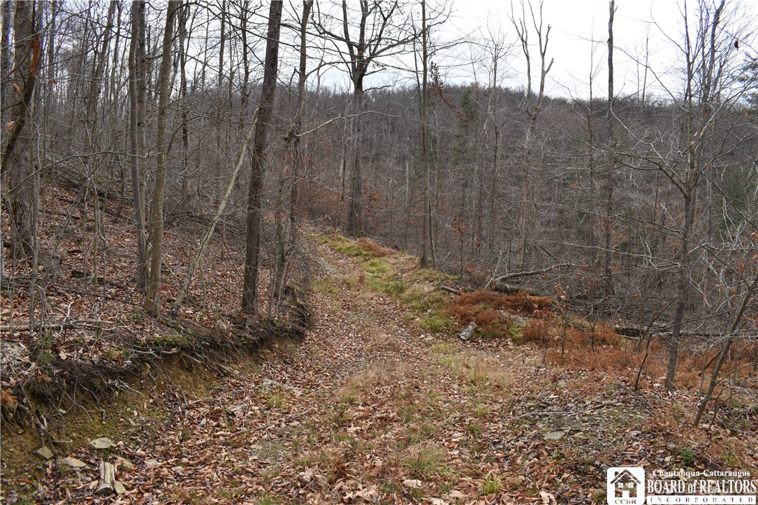 0 Morgan Hollow Road Olean, NY 14760 - Photo 9 of 43