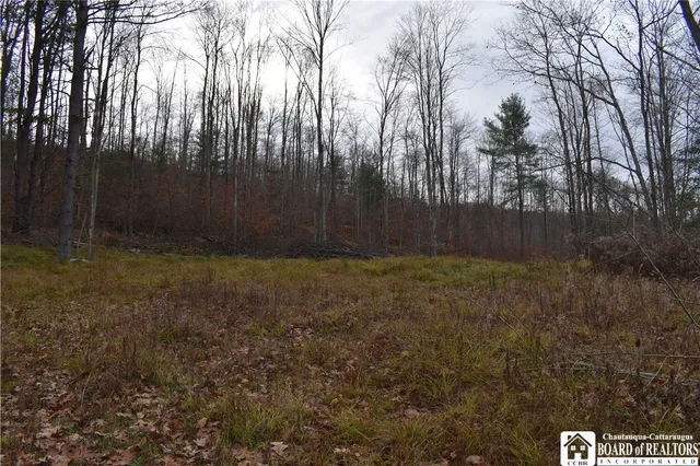 $152,500 | 0 Morgan Hollow Road, Olean, NY 14760