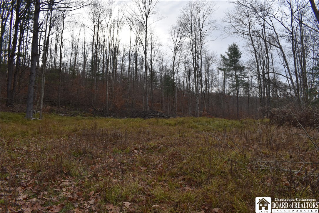 0 Morgan Hollow Road Olean, NY 14760 - Photo 10 of 43