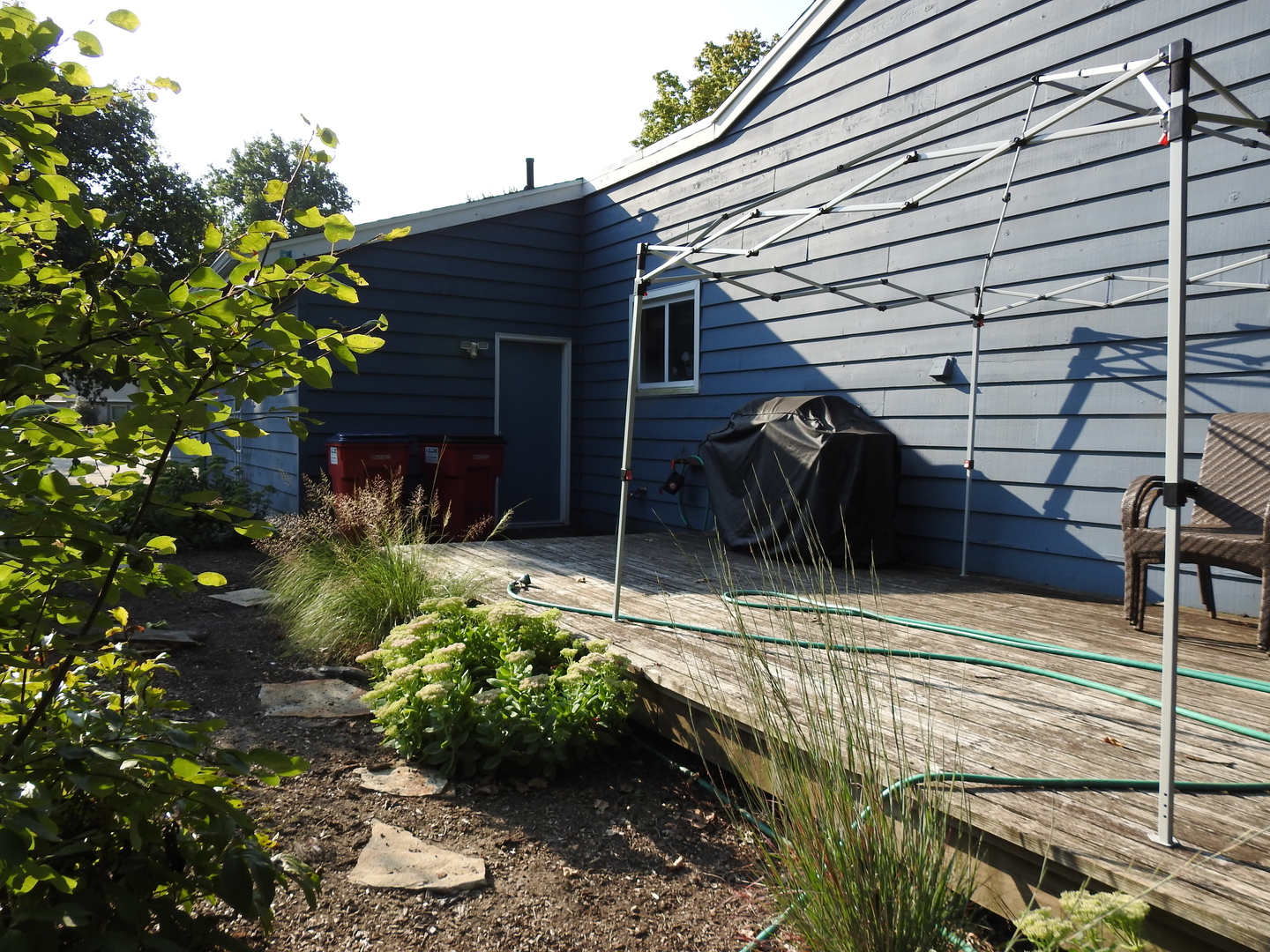 1908 Barberry Circle Champaign, IL 61821 - Photo 31 of 33 a view of a backyard