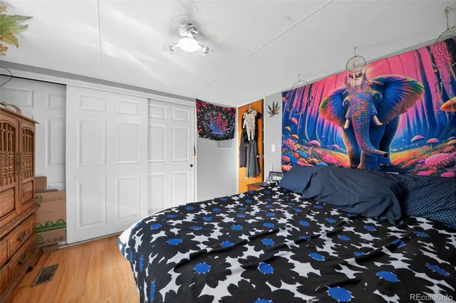 a bedroom with a bed and a closet