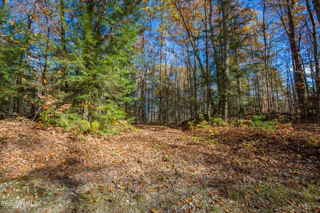 $95,000 | 316 Lakeshore Drive, Sandisfield, MA 01255