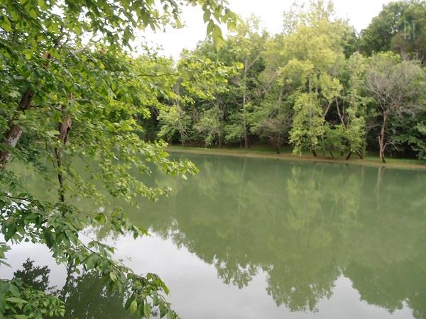 0 Hodges Bridge Road Doyle, TN 38559 - Photo 1 of 3 Gallery Image 1