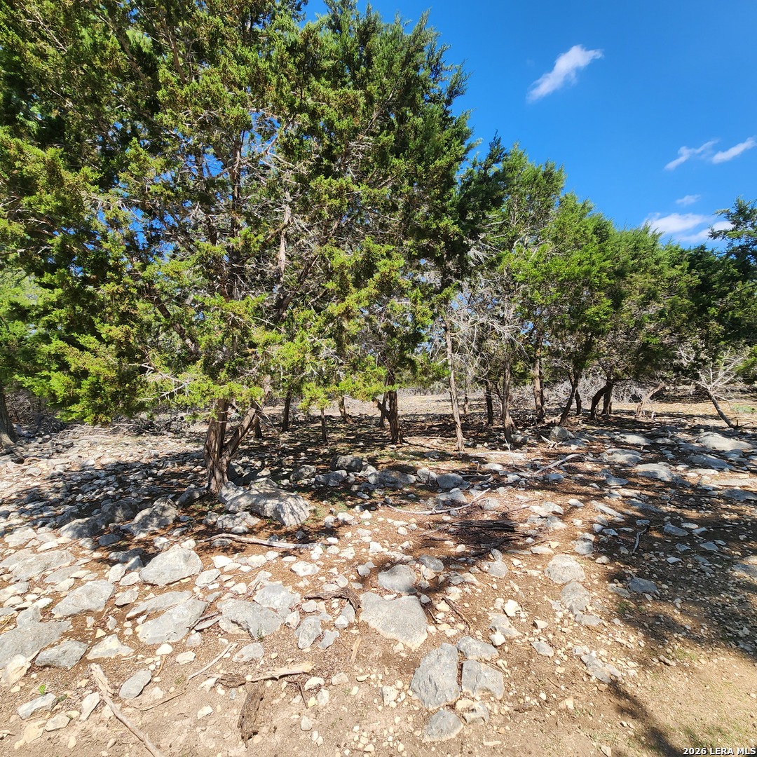 140 River Ranch Road Boerne, TX 78006 - Photo 6 of 25