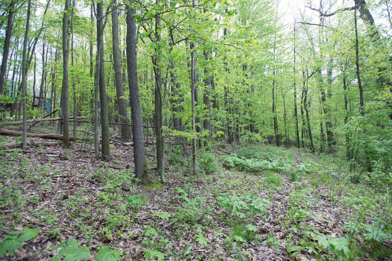 14534 Kane Road Plainwell, MI 49080 - Photo 29 of 45 Kane Rd_-12