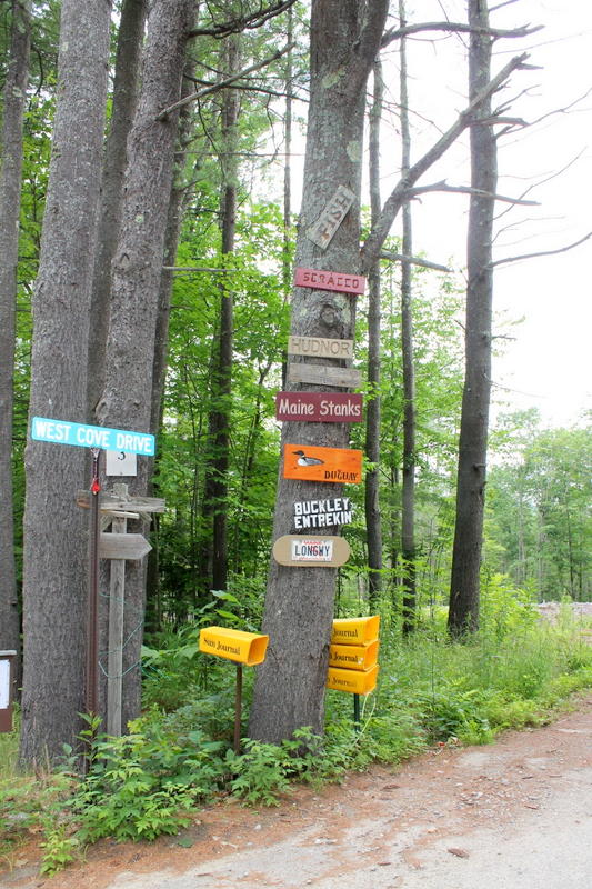 0 Rte 219 / West Cove Road Hartford, ME 04220 - Photo 15 of 16 IMG_2094