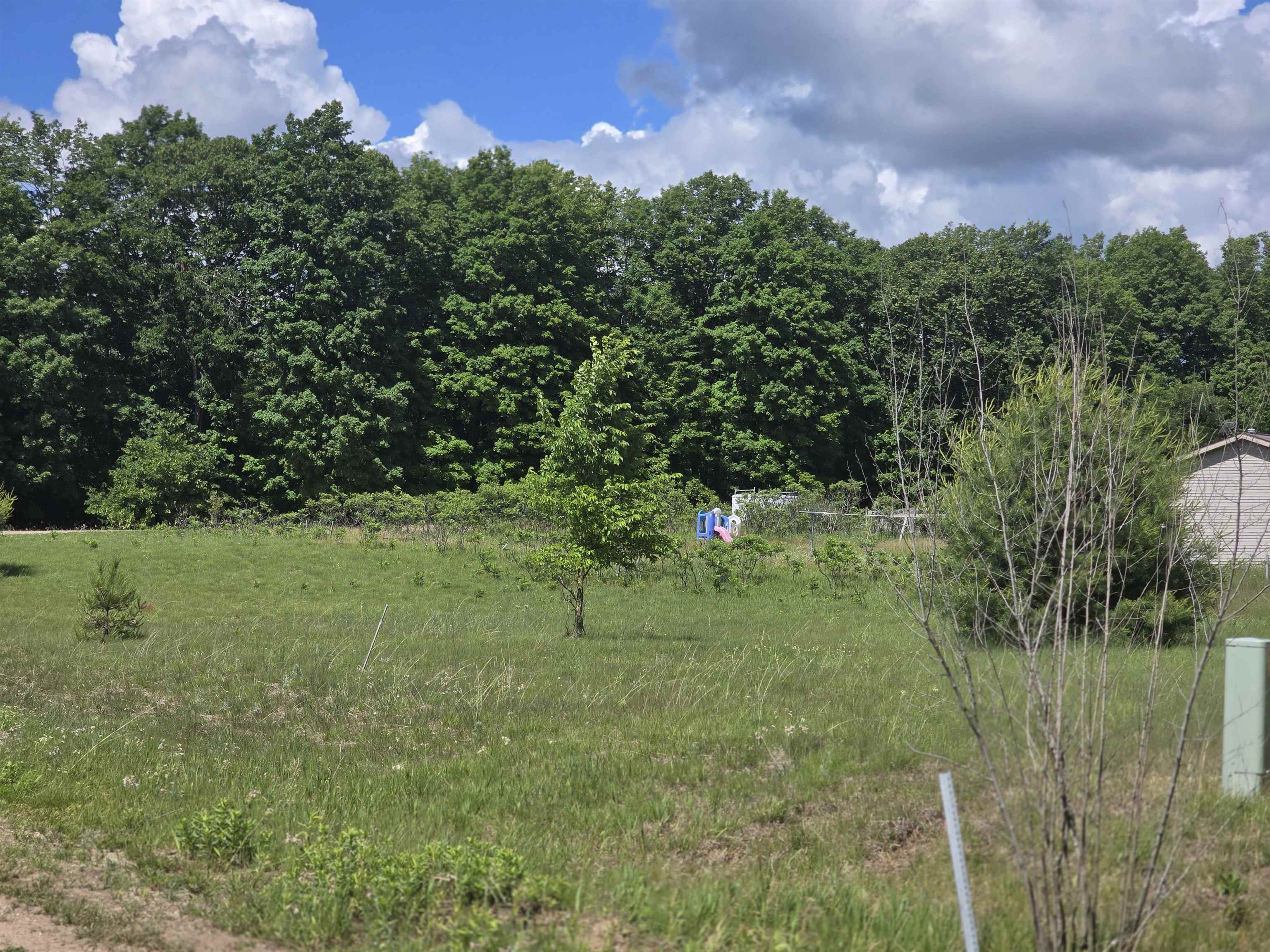 Kay Road Guthrie Road Mesick, MI 49668 - Photo 6 of 10