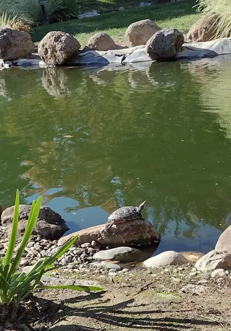 $350,000 | 796 Woodside Lane East, Unit 7, Sacramento, CA 95825