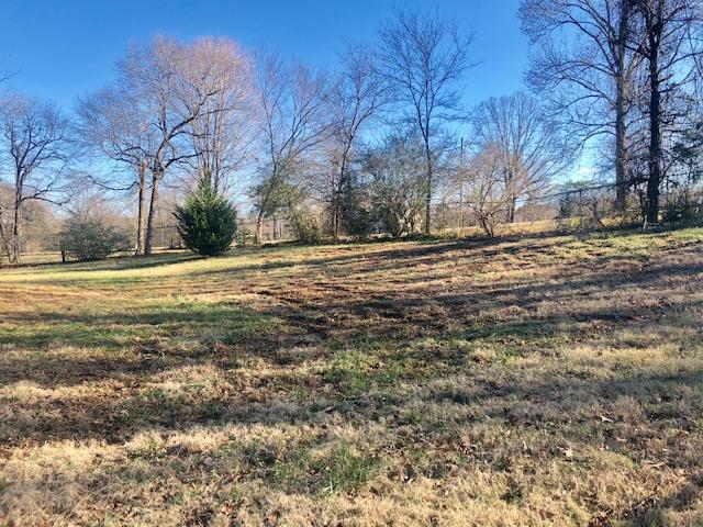 7820 Chester Road Fairview, TN 37062 - Photo 7 of 22 a view of a yard with a large tree