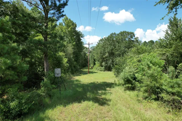 a view of outdoor space and yard