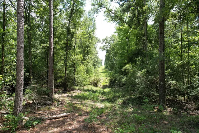a view of a park with trees in the background