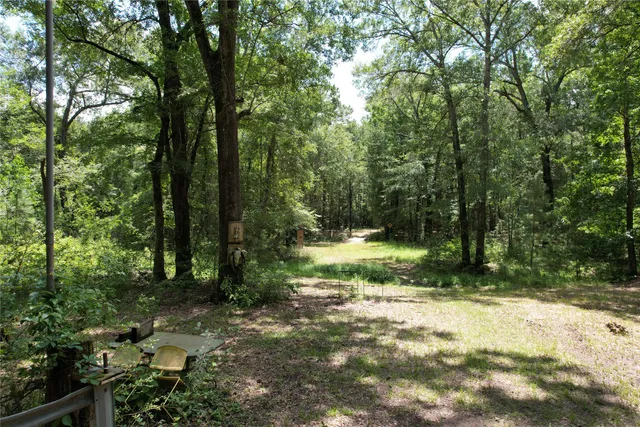 a view of a field with a tree