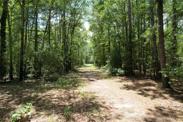 a view of a big yard with lots of green space