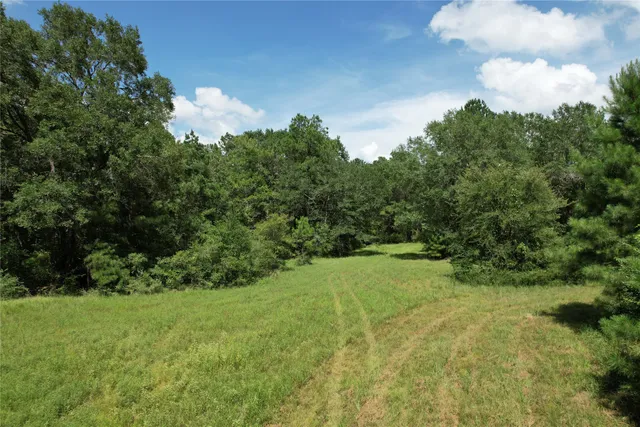 a view of a garden with a house