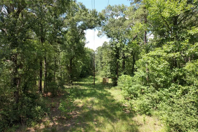 a view of a big yard with green space