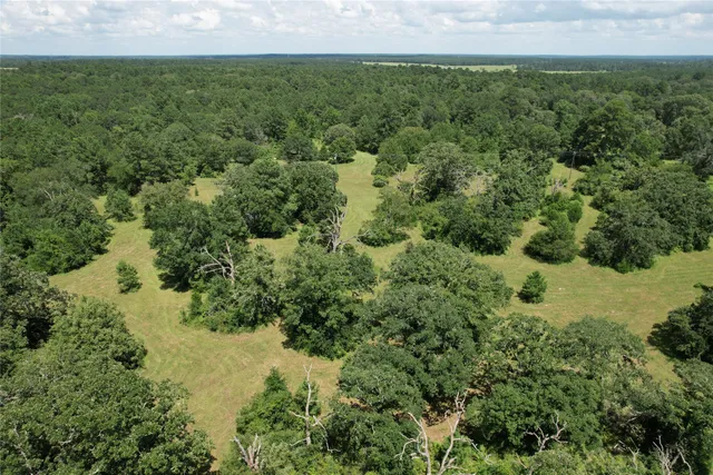 a view of a field of grass and trees