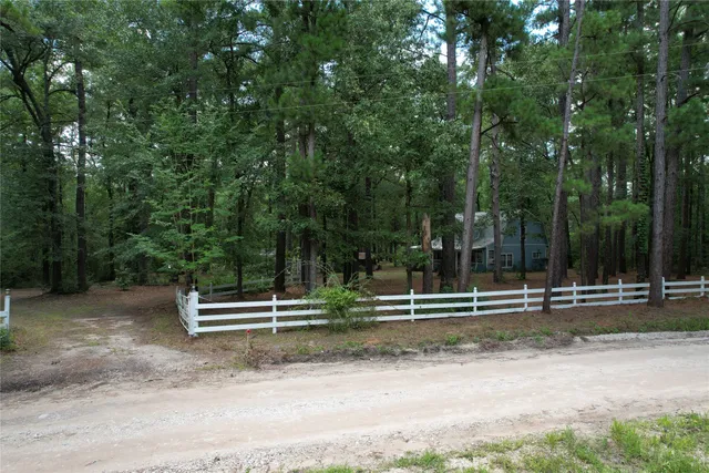 a view of park with trees