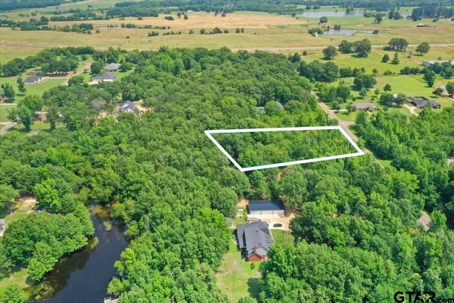 a view of a backyard with plants and lake view