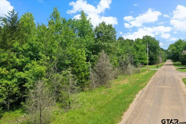 a view of a garden with plants
