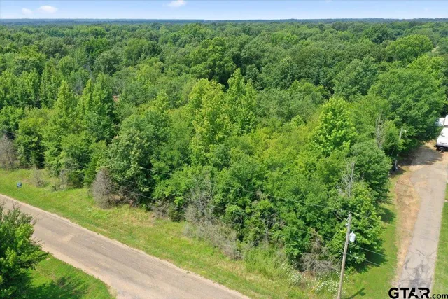 a view of a lush green space