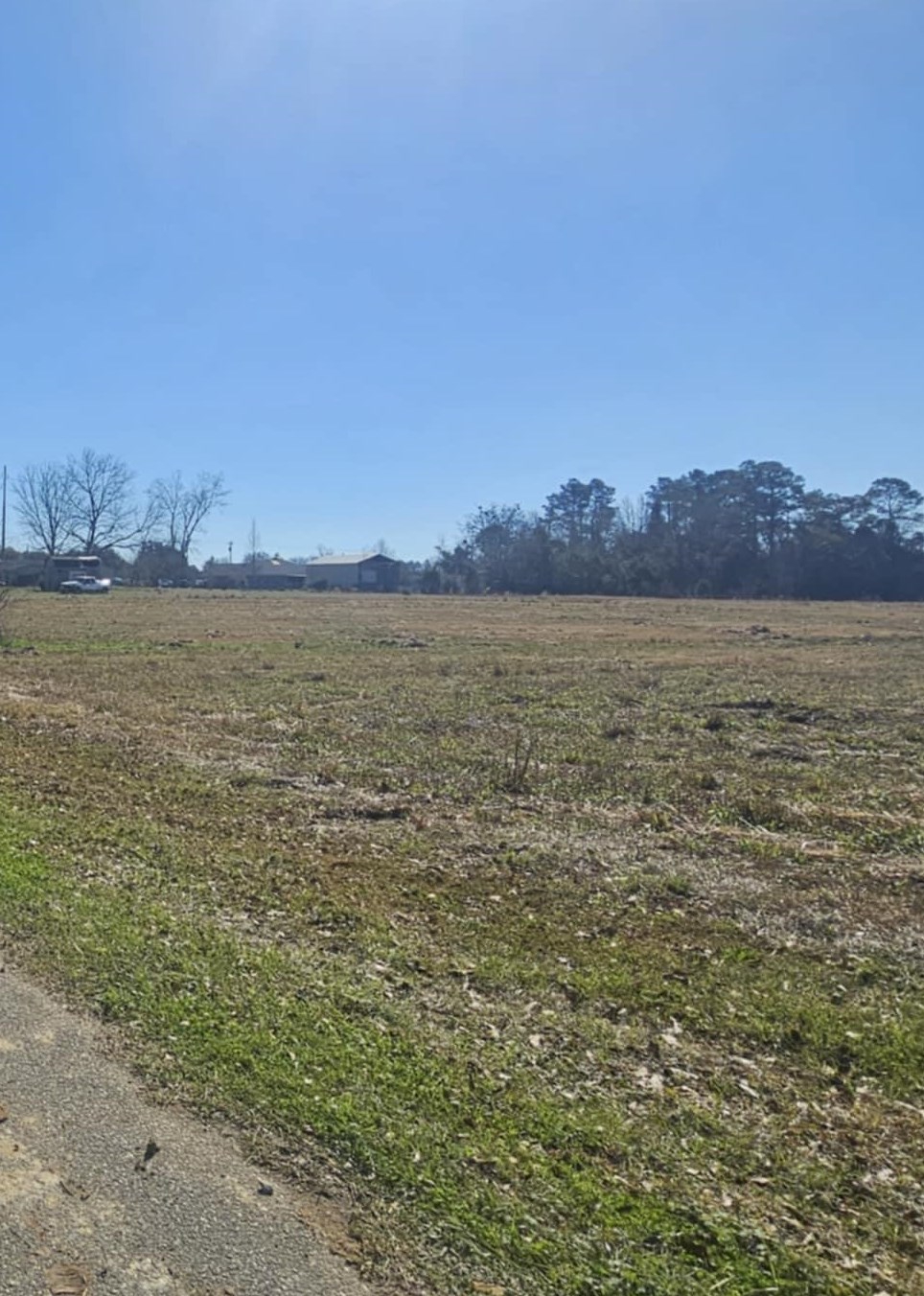 0 Black Griffin Road Loxley, AL 36551 - Photo 2 of 8 Community