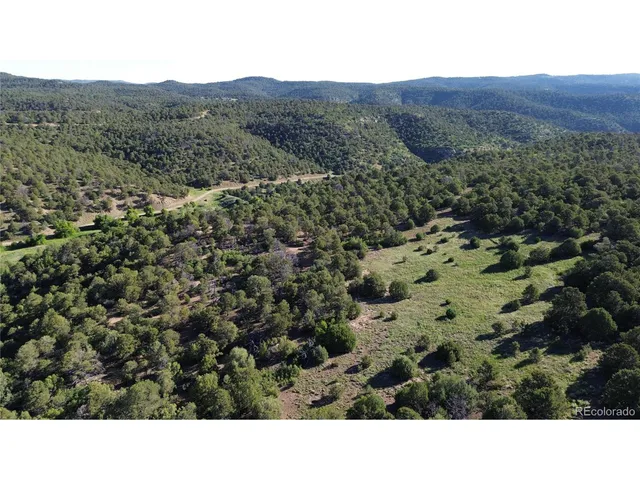 a view of a lush green field