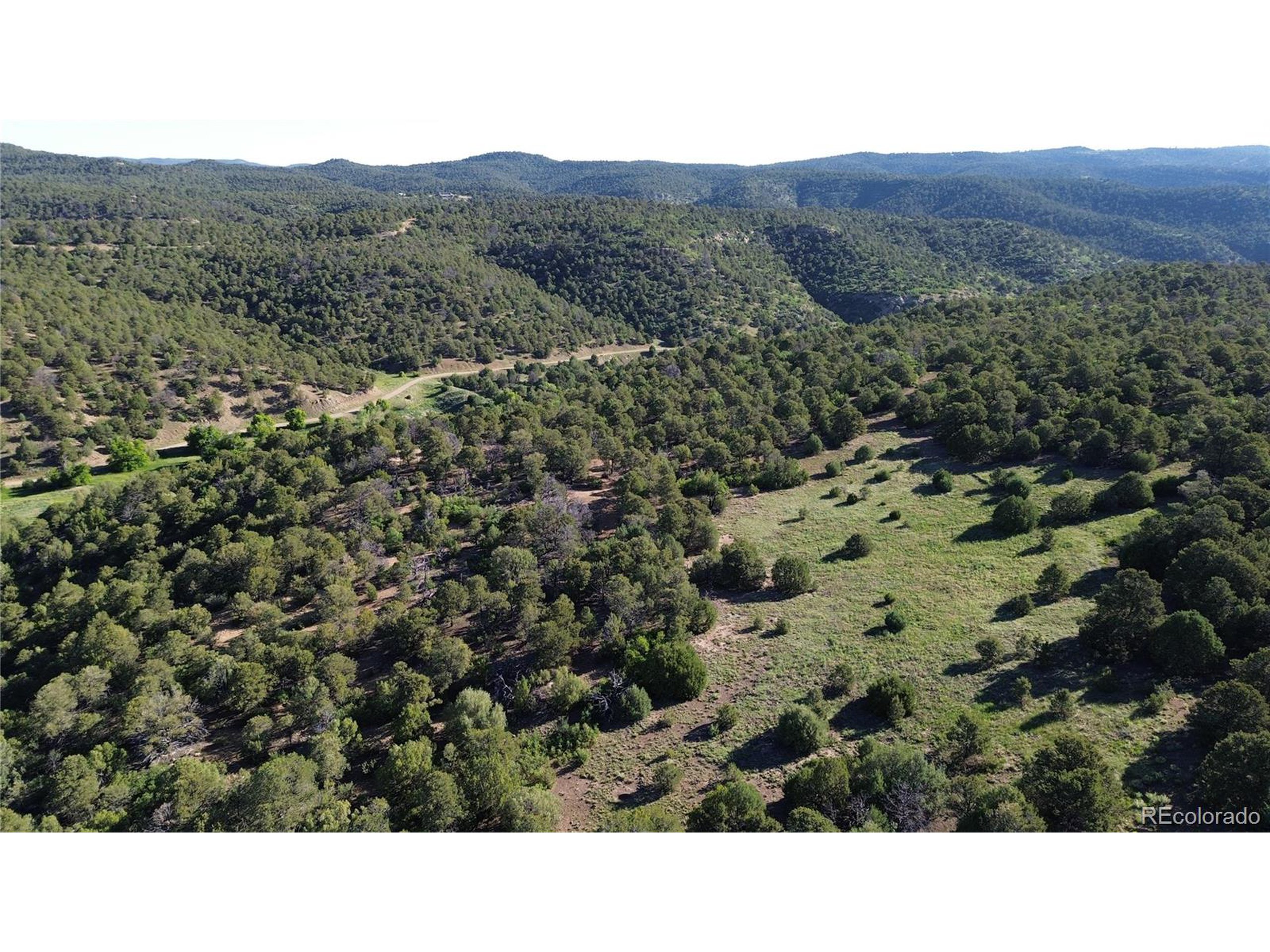 16198 Picketwire Road Trinidad, CO 81082 - Photo 1 of 22 a view of a lush green field