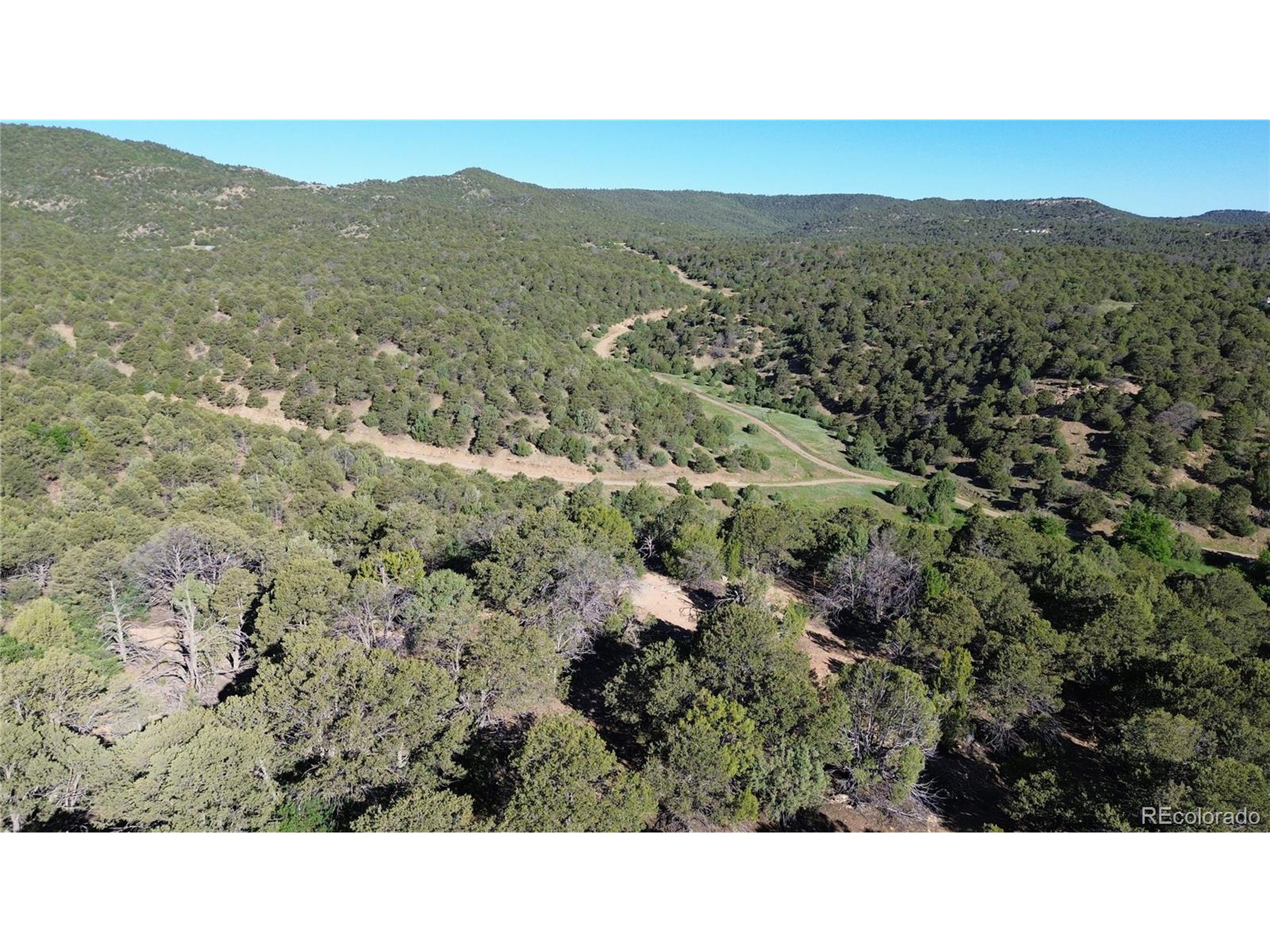 16198 Picketwire Road Trinidad, CO 81082 - Photo 13 of 22 a black and white photo of a green forest