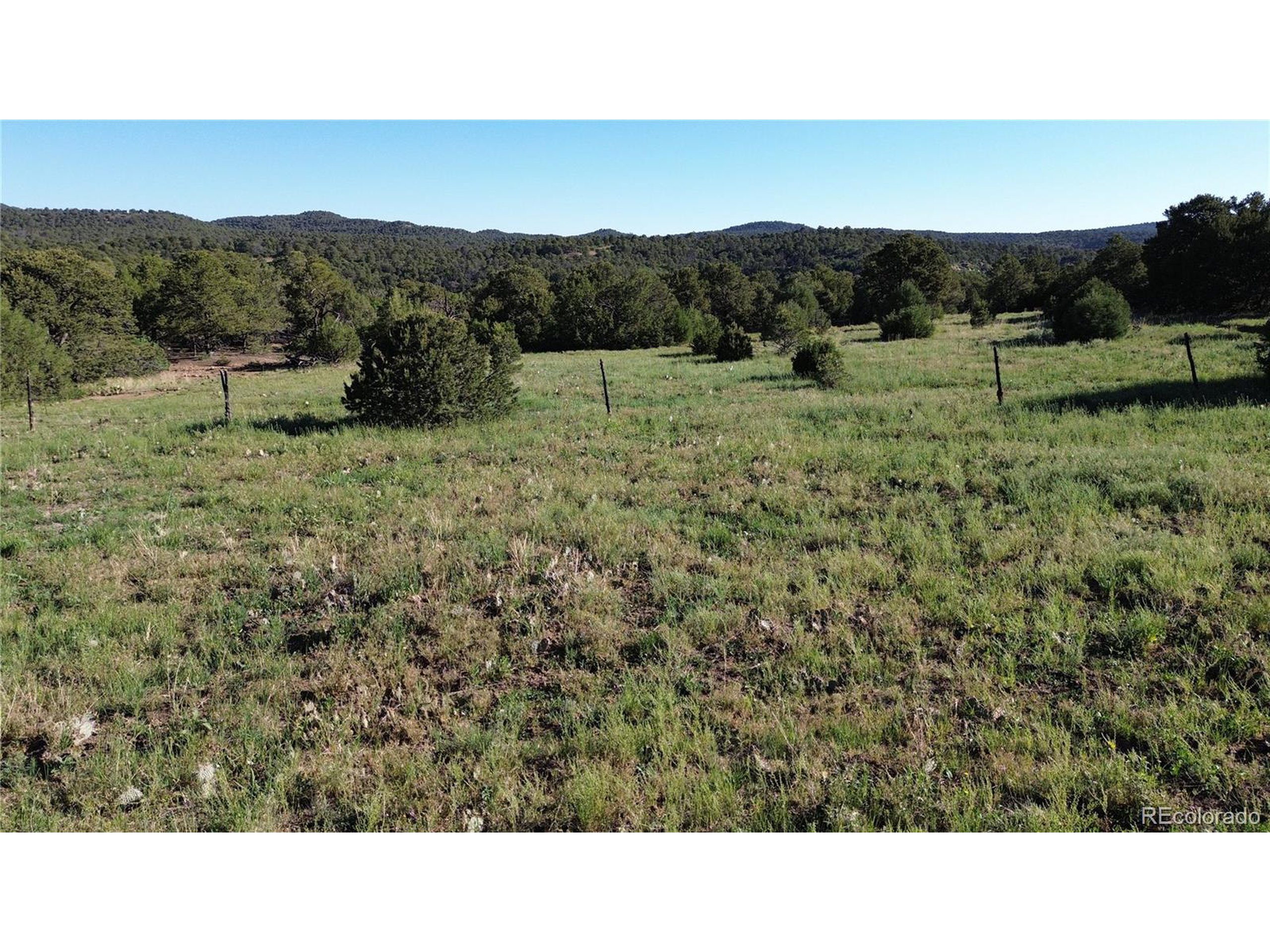16198 Picketwire Road Trinidad, CO 81082 - Photo 15 of 22 a black and white photo of a field