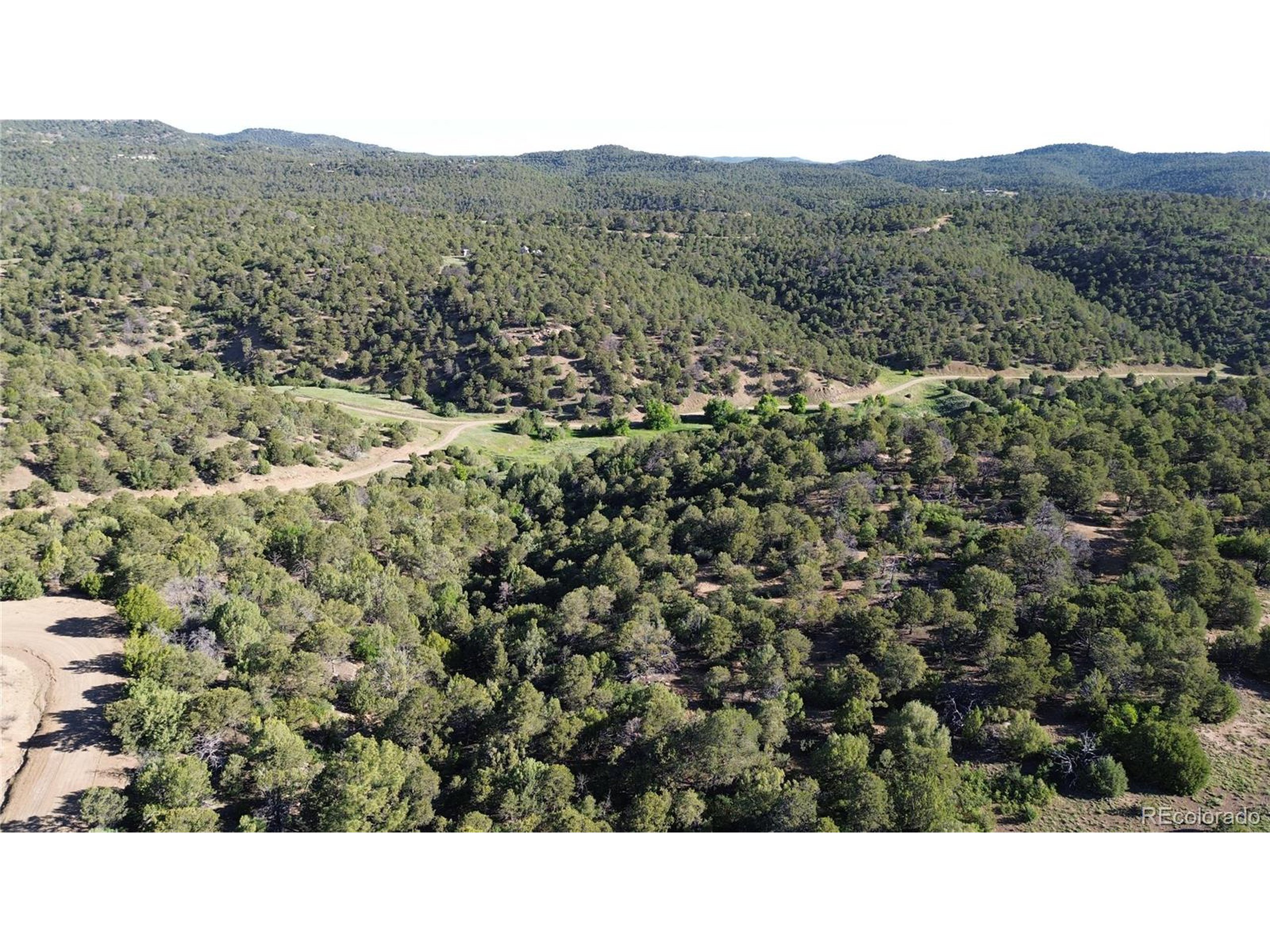 16198 Picketwire Road Trinidad, CO 81082 - Photo 2 of 22 a black and white photo of a forest