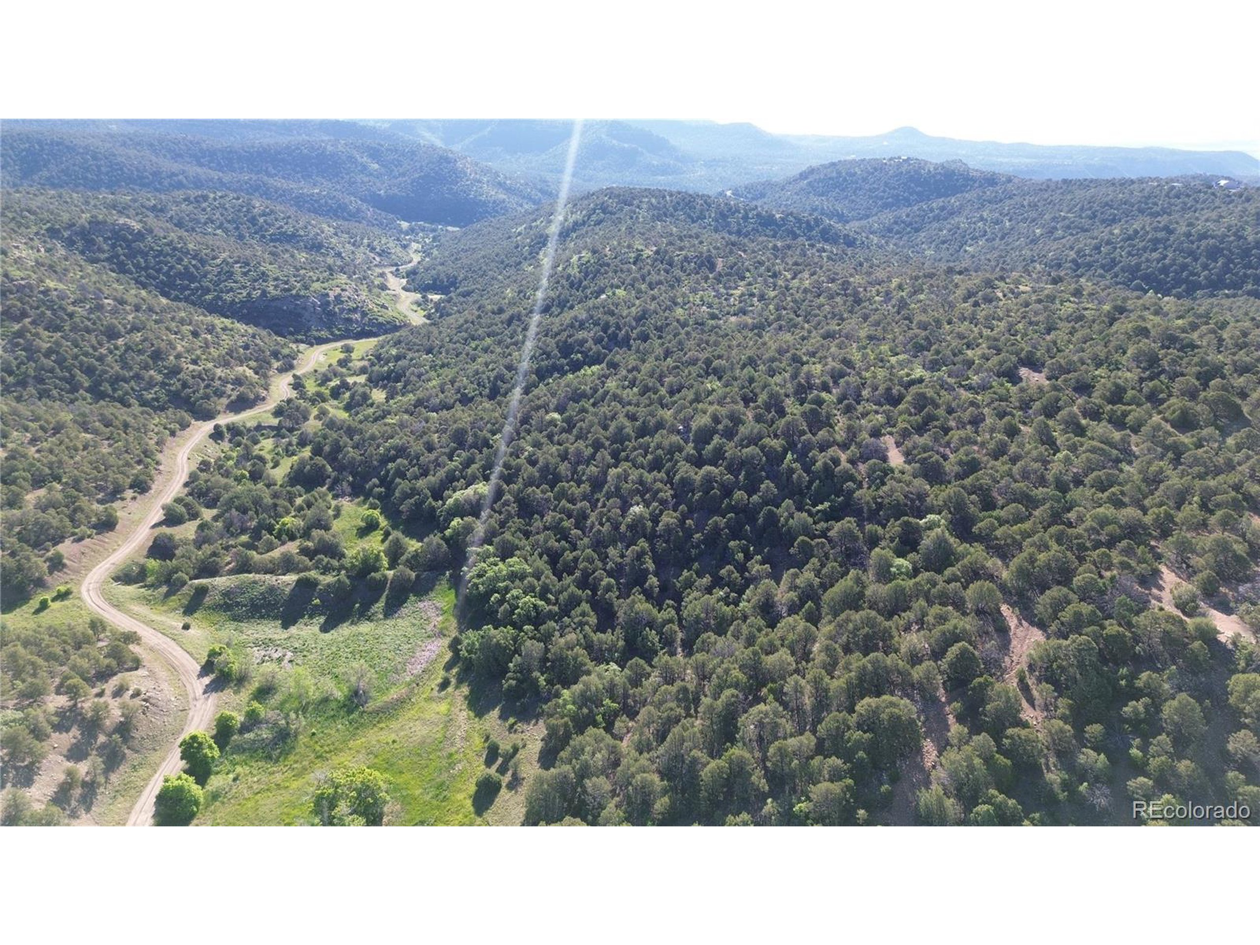 16198 Picketwire Road Trinidad, CO 81082 - Photo 4 of 22 a black and white photo of a field