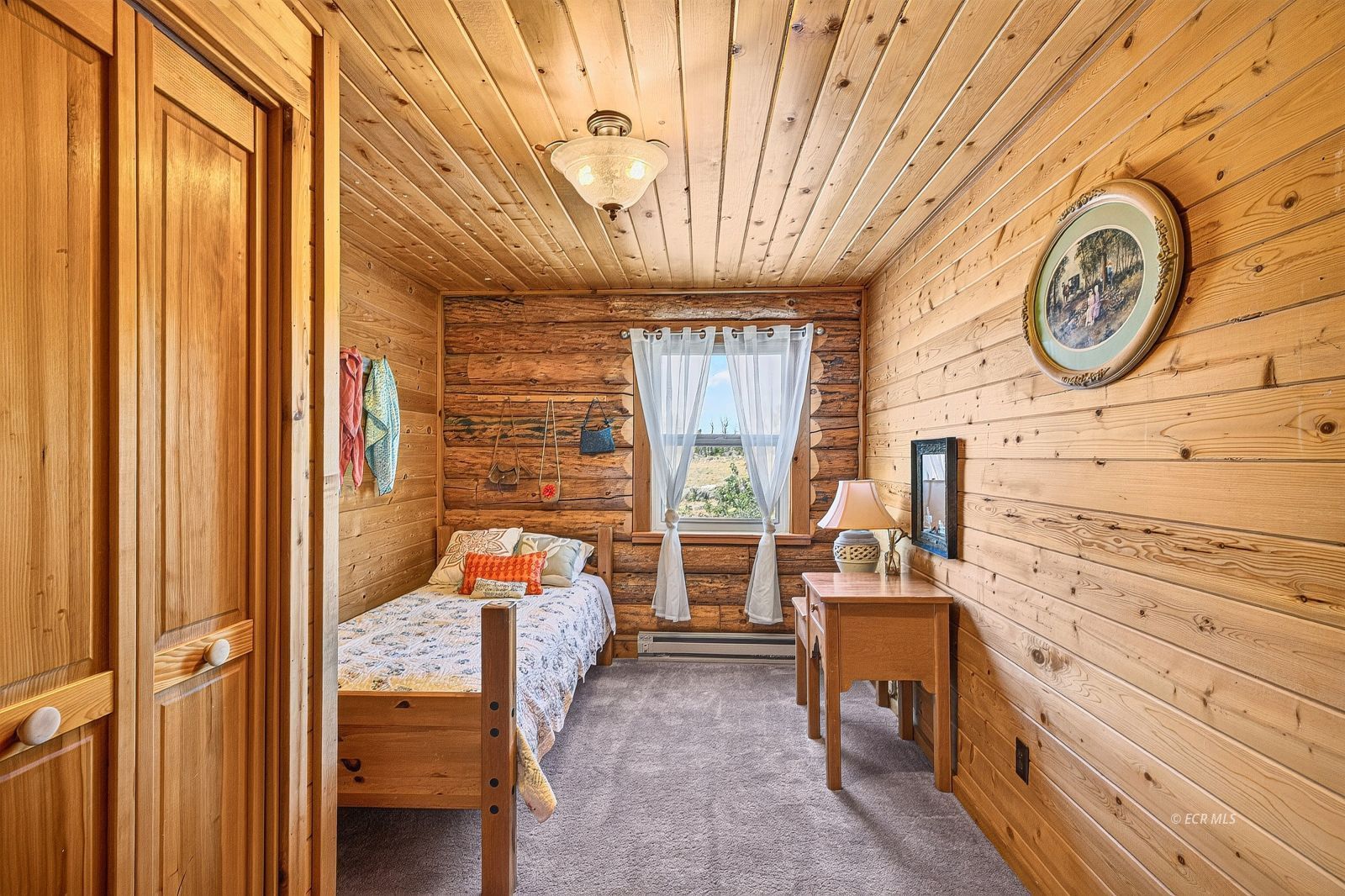 1 Mountain View Camp Road Lamoille, NV 89828 - Photo 17 of 50