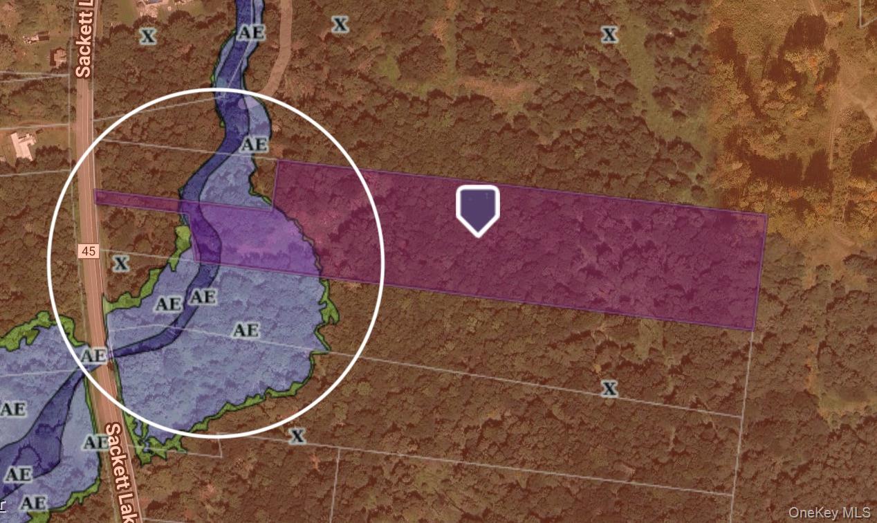 751 Sackett Lake Road Monticello, NY 12701 - Photo 2 of 2