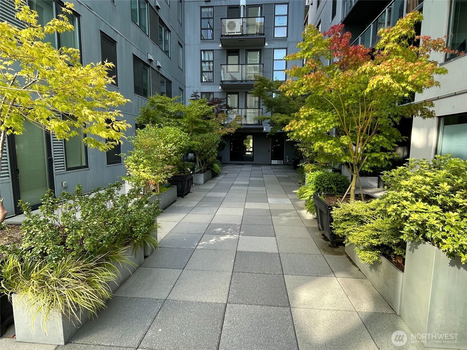 76 Cedar Street, Unit 405 Seattle, WA 98121 - Photo 24 of 32 a view of a pathway with flower plants
