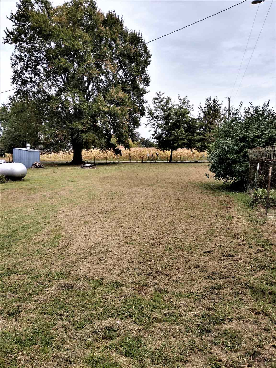 1247 North County Road 2170 North Rinard, IL 62878 - Photo 43 of 49