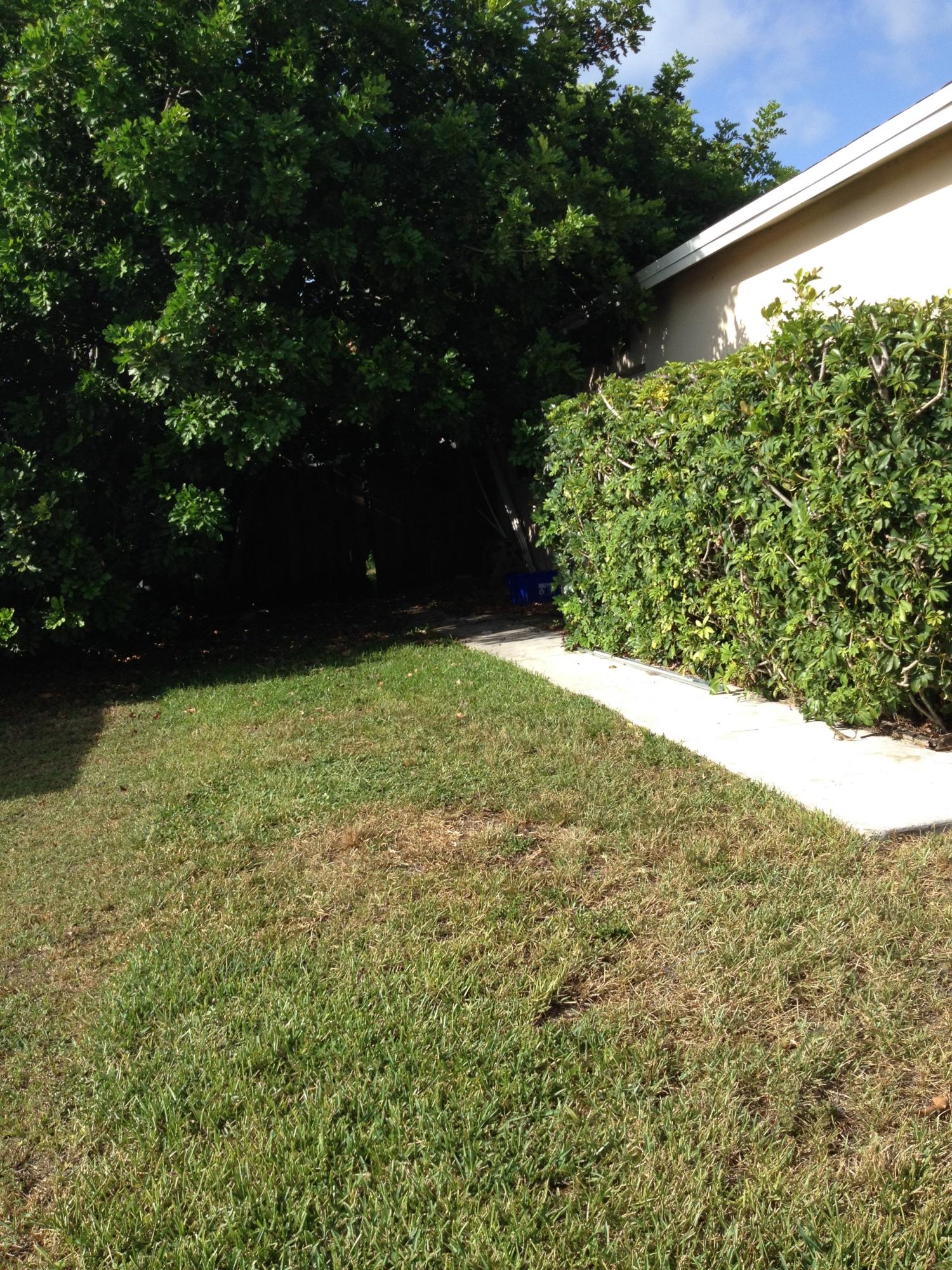 11198 Mandarin Street Boca Raton, FL 33428 - Photo 3 of 22 a view of yard with green space