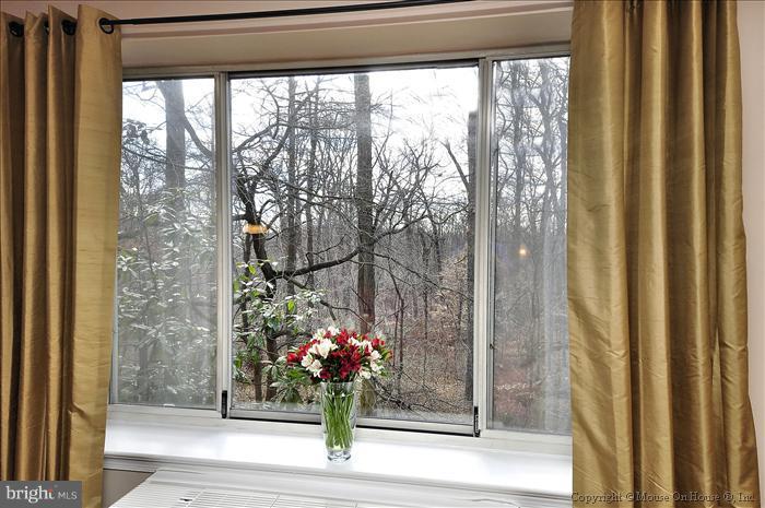 4100 W Street Northwest, Unit 314 Washington, DC 20007 - Photo 6 of 19 View