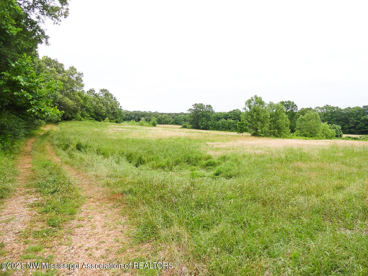 28 King Road Byhalia, MS 38611 - Photo 1 of 14 untitled (1 of 1)-3
