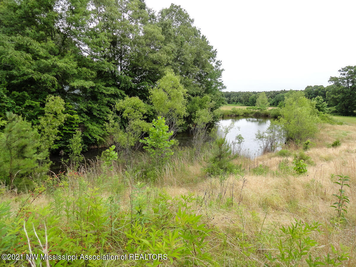 28 King Road Byhalia, MS 38611 - Photo 12 of 14 untitled (1 of 1)