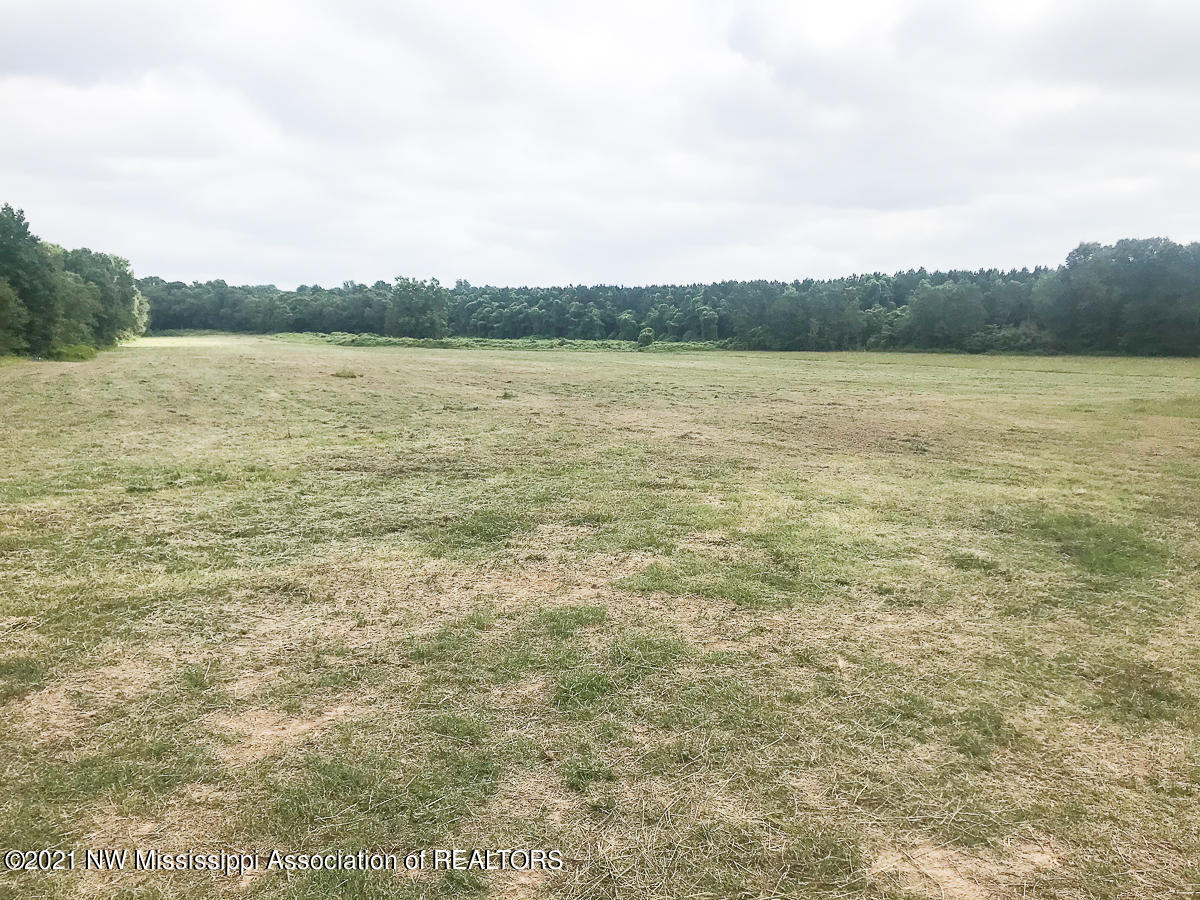 28 King Road Byhalia, MS 38611 - Photo 13 of 14 untitled (1 of 1)-7