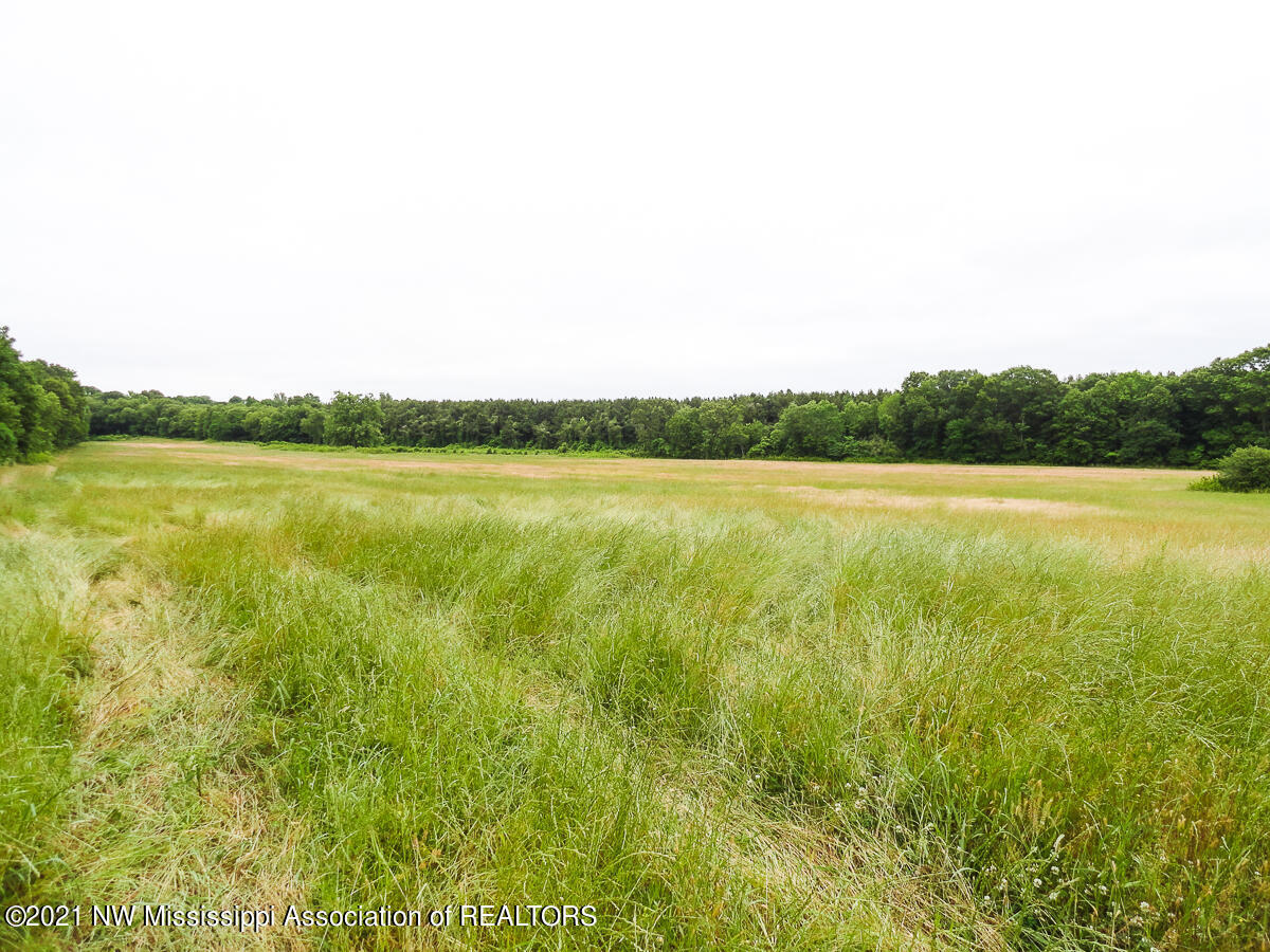 28 King Road Byhalia, MS 38611 - Photo 5 of 14 untitled (1 of 1)-4