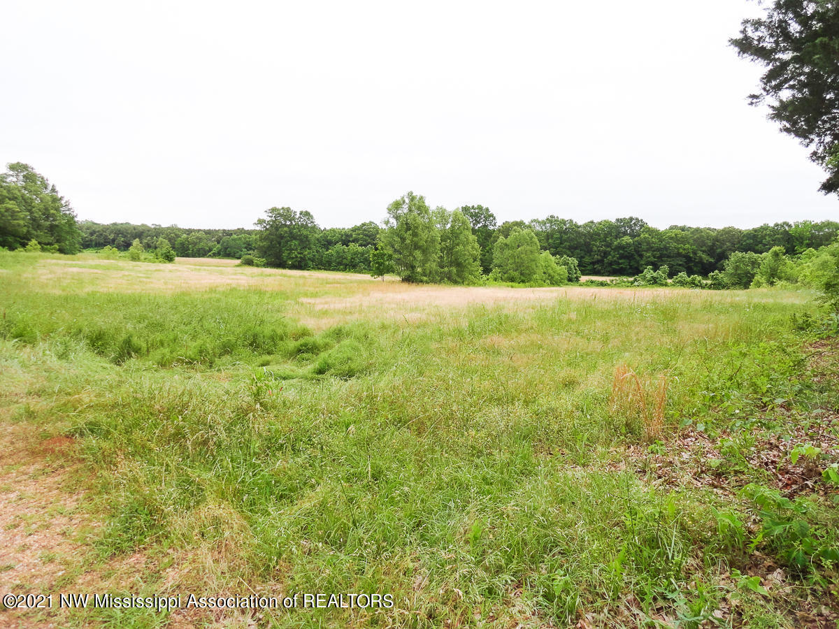 28 King Road Byhalia, MS 38611 - Photo 6 of 14 untitled (1 of 1)-5