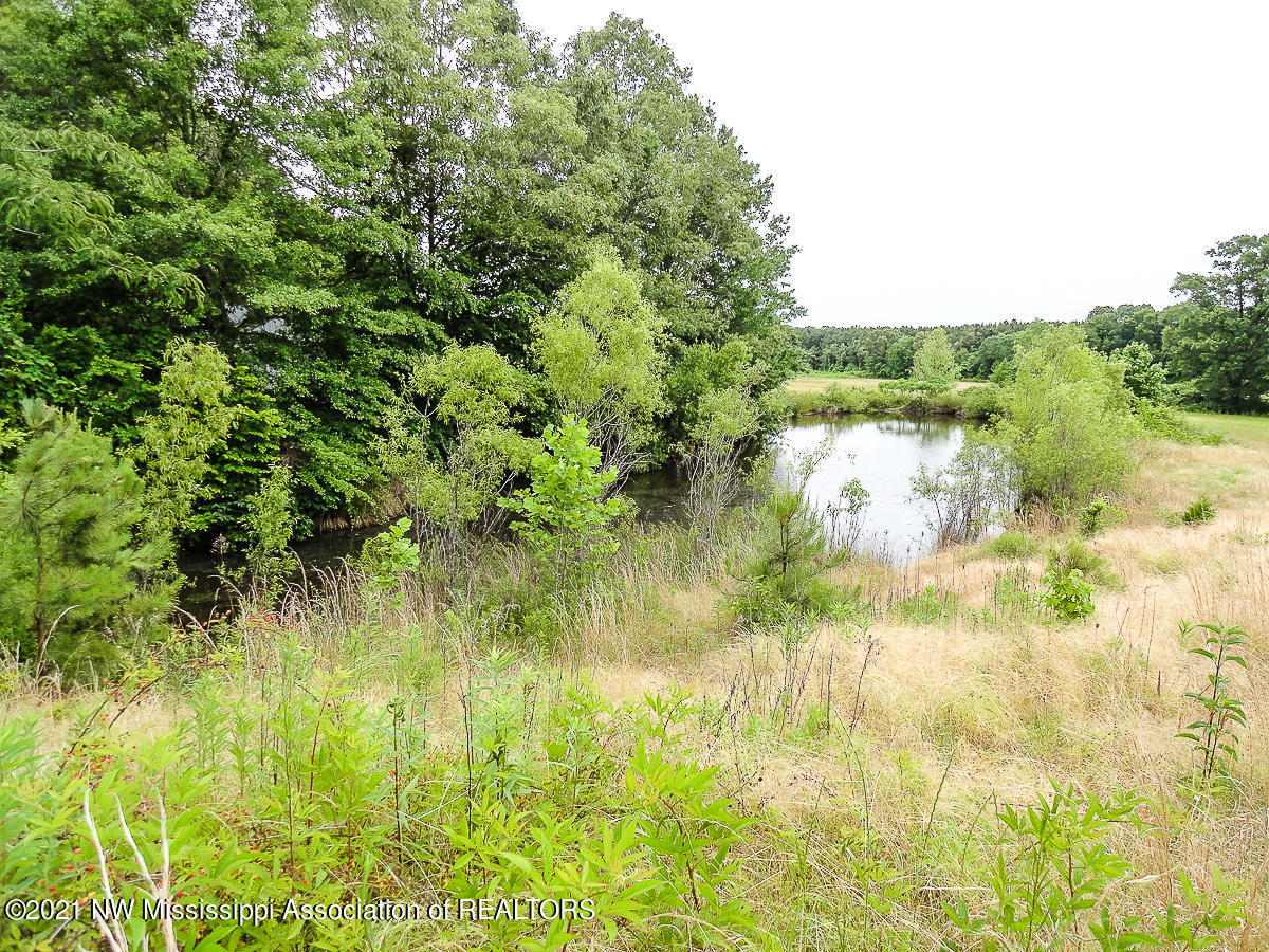 28 King Road Byhalia, MS 38611 - Photo 7 of 14 untitled (1 of 1)-10