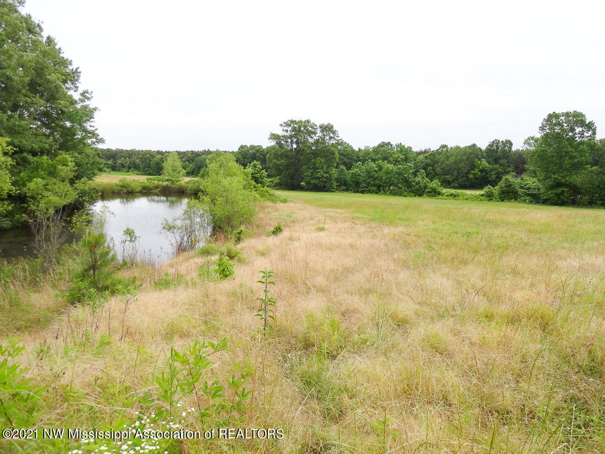28 King Road Byhalia, MS 38611 - Photo 8 of 14 untitled (1 of 1)-11