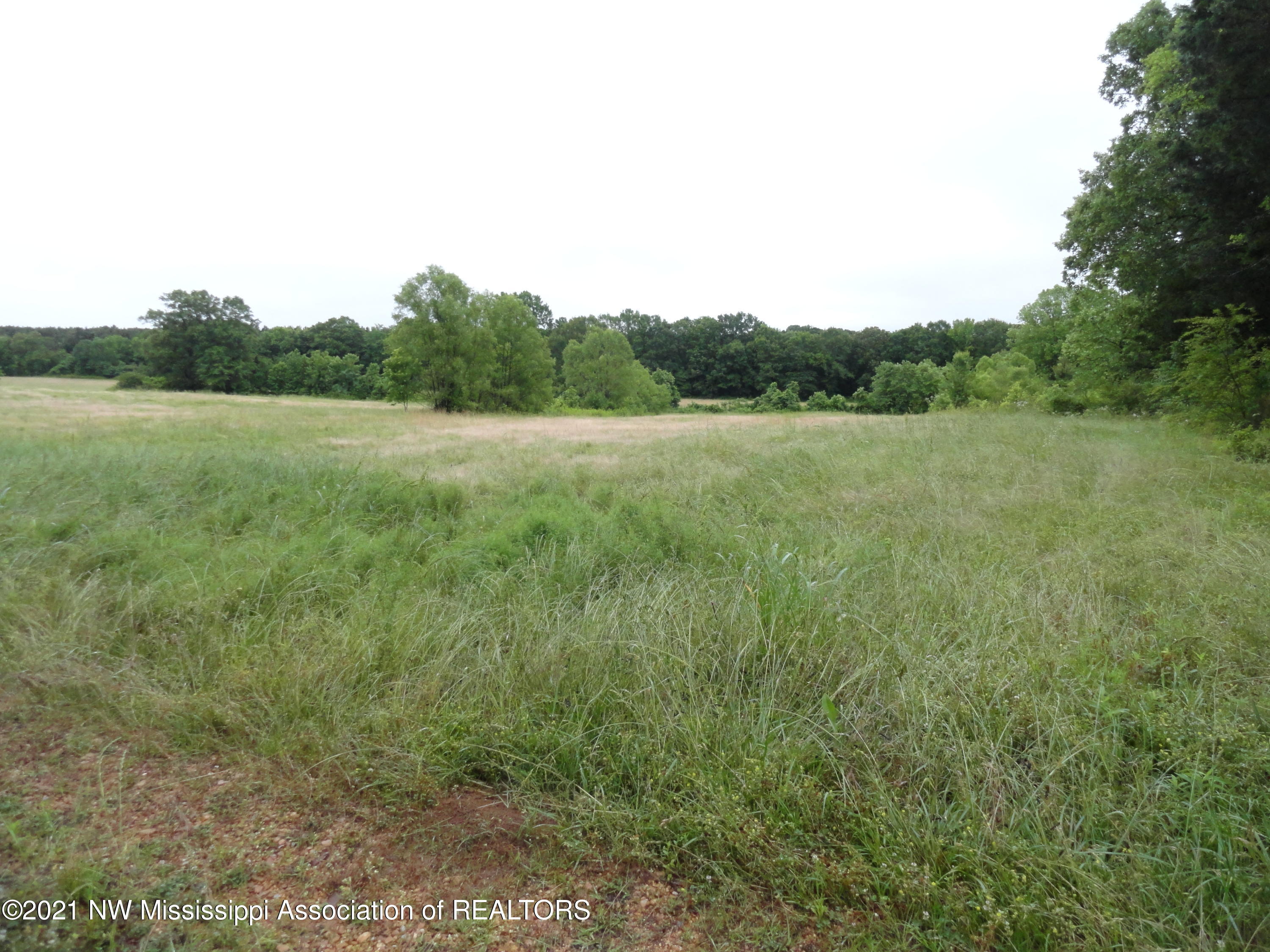 28 King Road Byhalia, MS 38611 - Photo 9 of 14 DSC03313