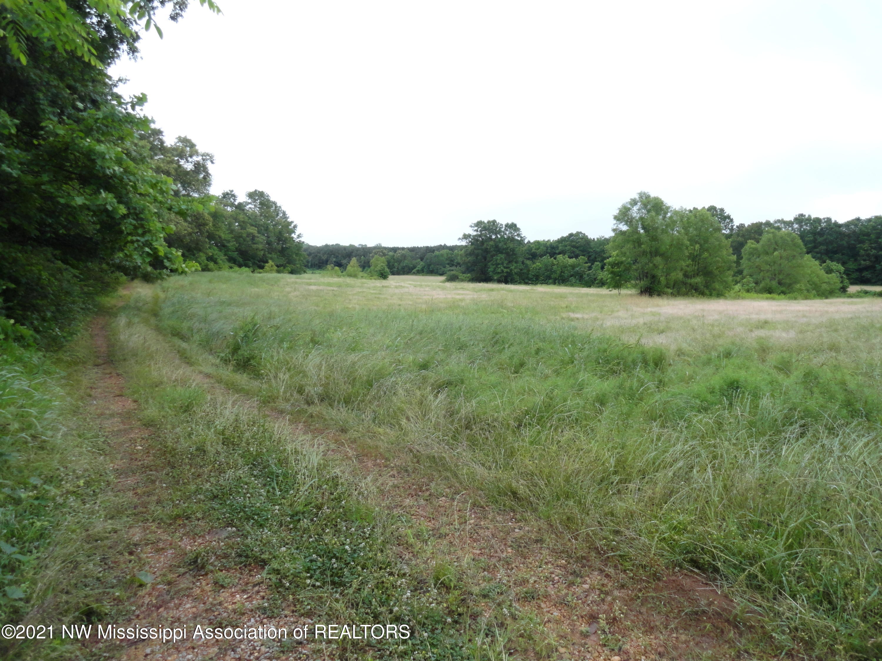28 King Road Byhalia, MS 38611 - Photo 10 of 14 DSC03314
