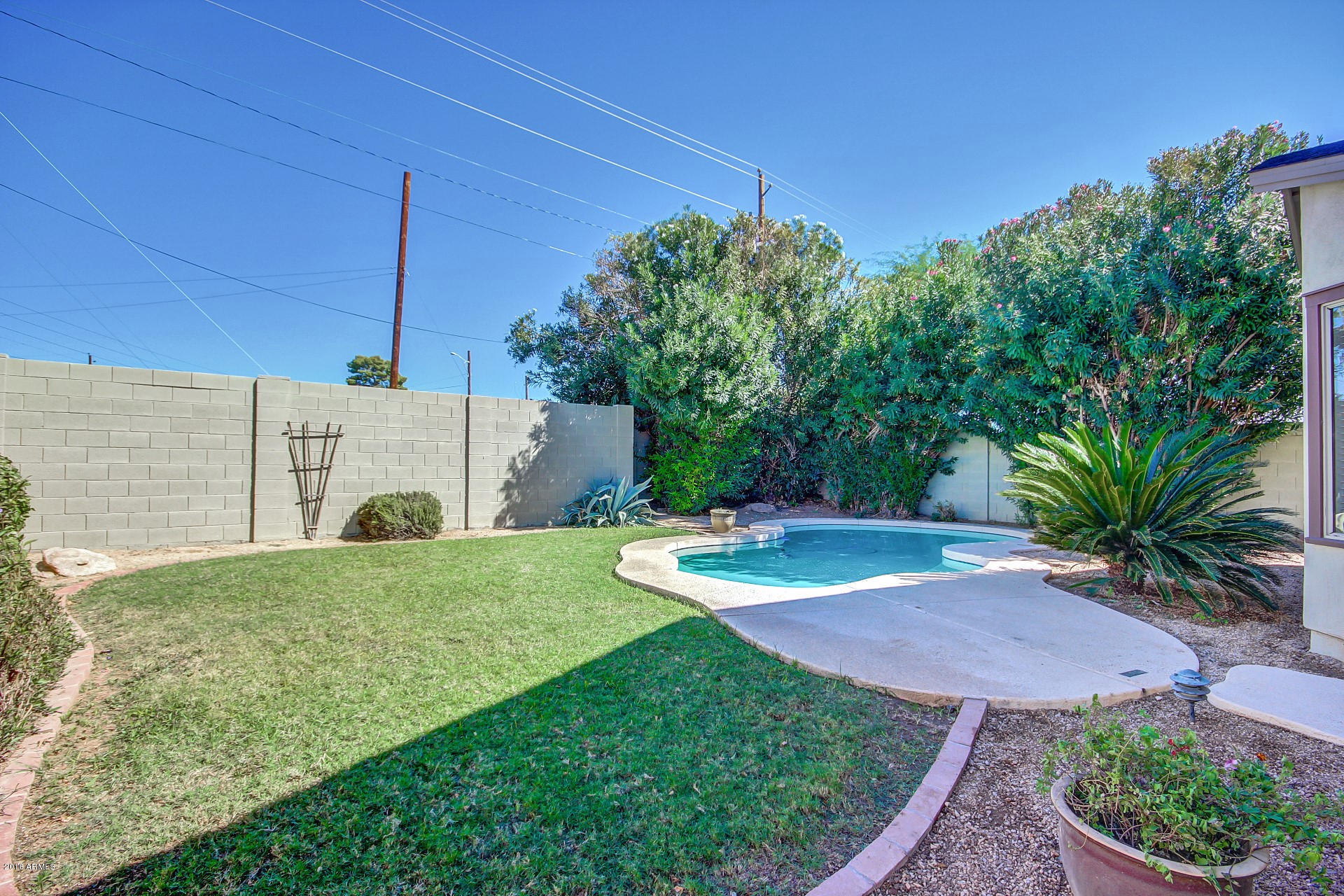 2707 North Greenfield Road Phoenix, AZ 85006 - Photo 6 of 31 pool and grassy area