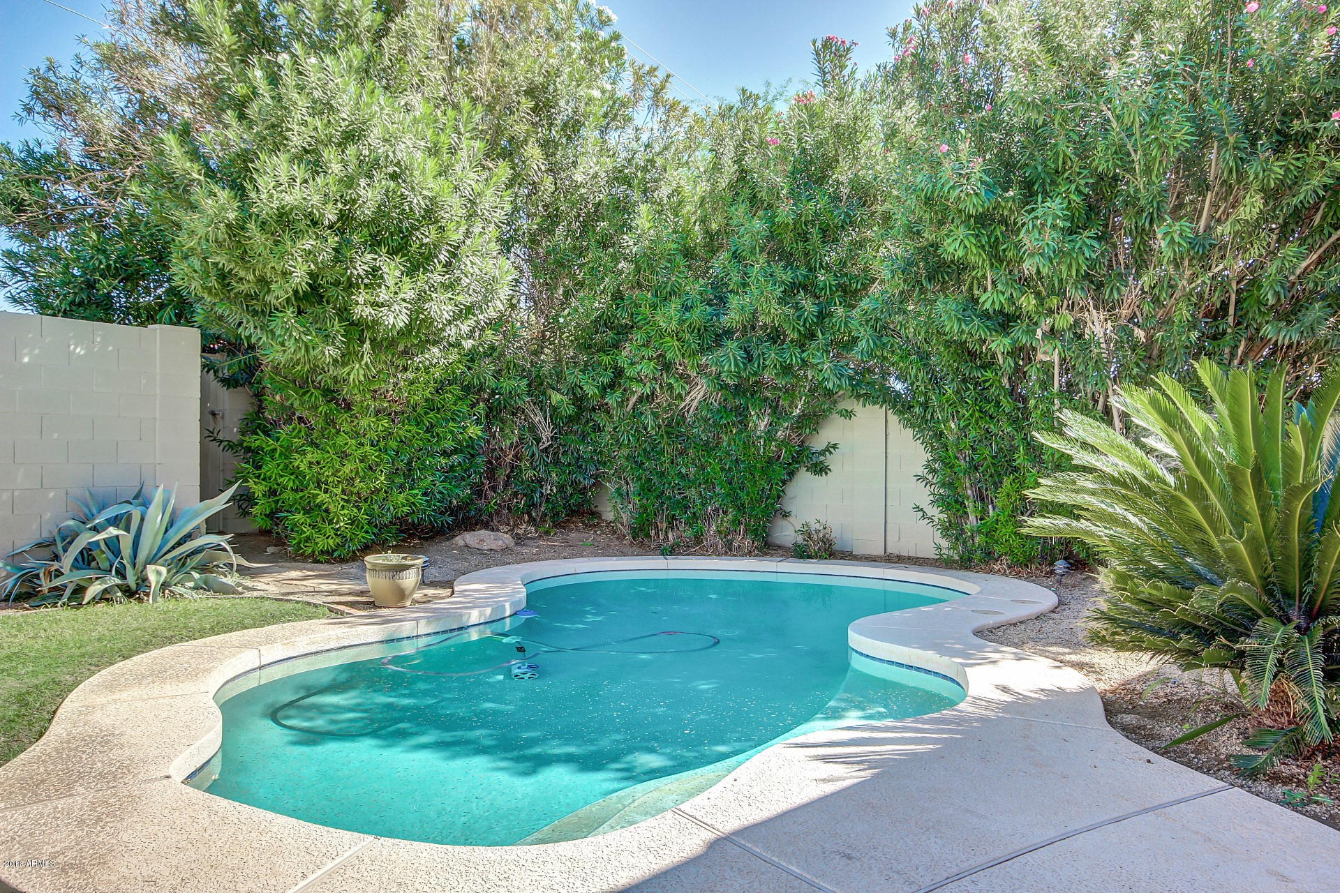2707 North Greenfield Road Phoenix, AZ 85006 - Photo 7 of 31 sparkling pool