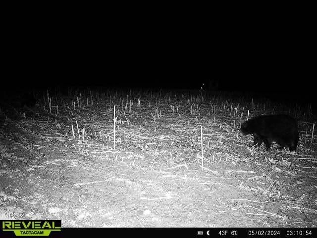 W181 Midway Road Hawkins, WI 54530 - Photo 20 of 56 Gallery Image 20